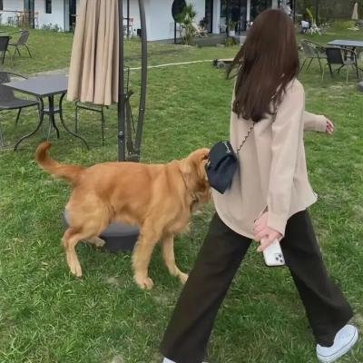 四月的女儿